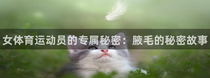 欧亿体育官方正版app五金厂：女体育运动员的专属秘密