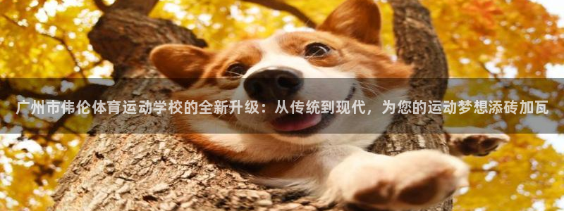 oety欧亿体育官网下载官方客服电话：广州市伟伦体育