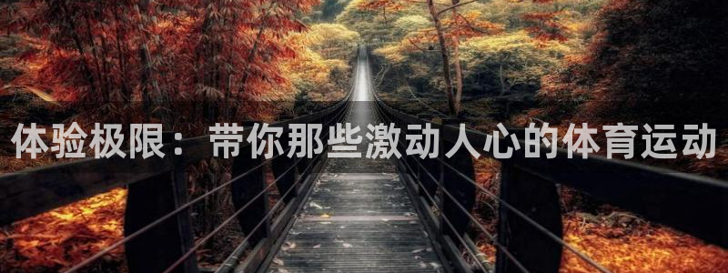 欧亿体育官方正版app新能源：体验极限：带你那些激动