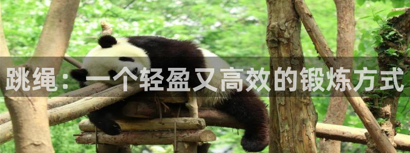 欧亿体育官方正版app娱乐是那个系列的台子：跳绳：一个轻盈又