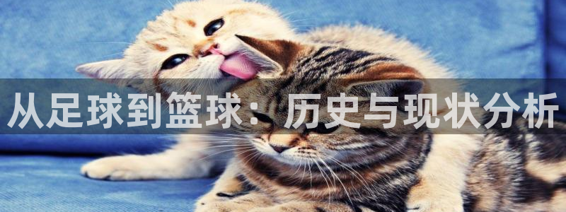 oety欧亿体育官网下载平台注册流程图：从足球到篮球