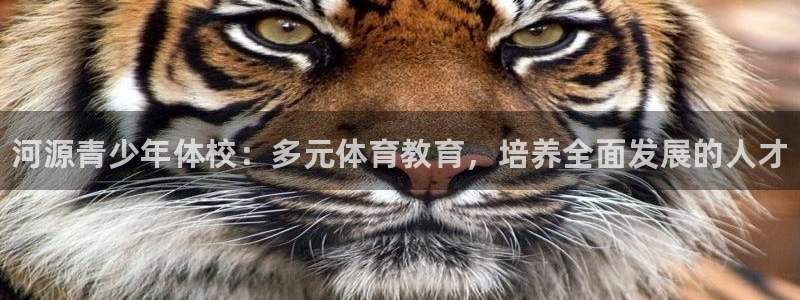 oety欧亿体育官网下载招商电话号码查询：河源青少年