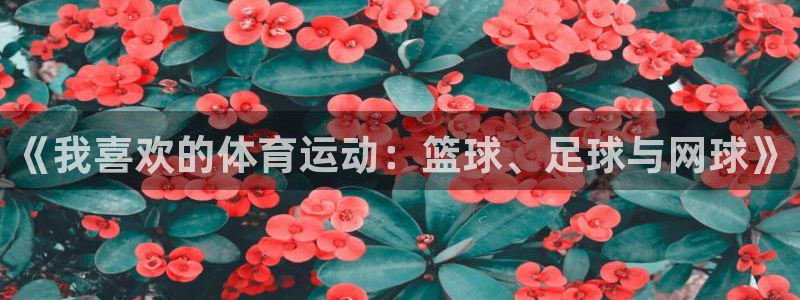 oety欧亿体育官网下载招商电话是多少
