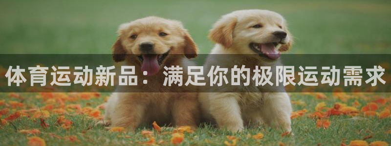 欧亿体育官方正版app娱乐首页官网下载：体育运动新品