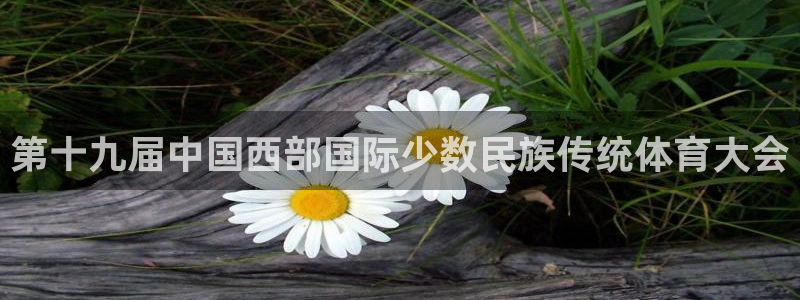 德国欧亿体育官方正版app集团：第十九届中国西部国际少数民族