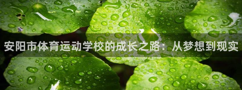 oety欧亿体育官网下载招商电话号码：安阳市体育运动学校的成