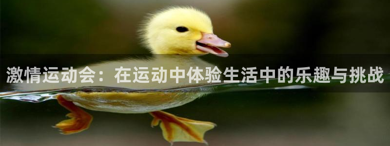 oety欧亿体育官网下载平台注册：激情运动会：在运动中体验生