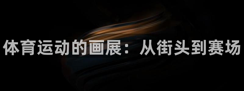欧亿体育官方正版app娱乐首页官网下载：体育运动的画展：从街