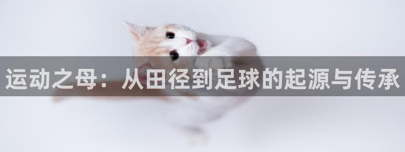 oety欧亿体育官网下载招商电话号码查询：运动之母：